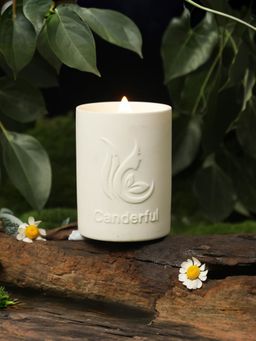 The Better Home - Green Magnolia Scented Votive Candle