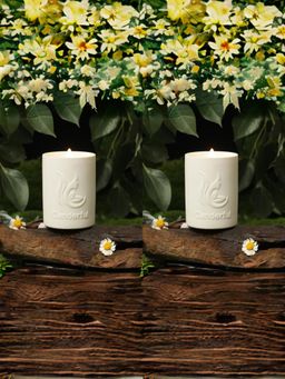 The Better Home - Green Branch Magnolia Scented Candles (Pack of 2)
