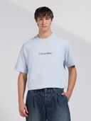 Blue color option, Currently selected