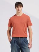 Rust color option, Currently selected