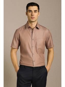 Louis Philippe - Men Brown Textured Half Sleeves Formal Shirt