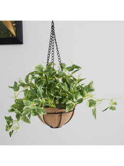 HomeTown - Ilana Faux Hanging Pathos with Pot 47 Cm in Green Colour