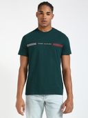 Teal color option, Currently selected
