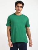 Green color option, Currently selected