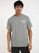 Grey color option, Currently selected