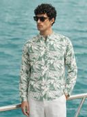 Green color option, Currently selected
