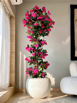 Mason Home - Pink Artificial Veil Bougainvillea Plant With Pot (6 Feet)