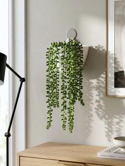 Mason Home - Green Wall Mounted Artificial Hanging Creeper With Pot