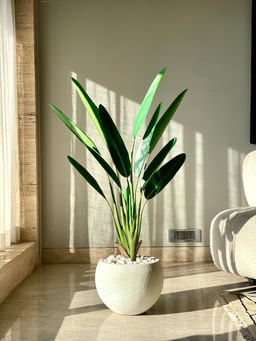 Mason Home - Green Artificial Slim Travellers Palm Plant Without Pot
