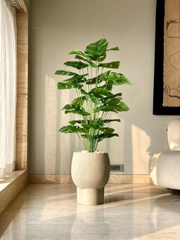 Mason Home - Green Artificial Midas Monstera Plant Without Pot (4 Feet)
