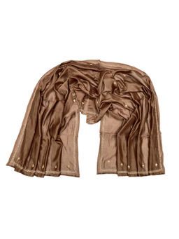 Palash - Brown Chanderi Silk Dupatta with Zardozi Hand Embroidery Work
