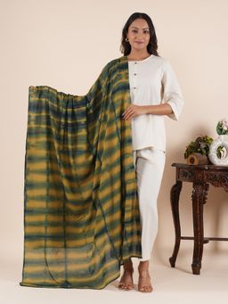 Style Shoes - Striped Handloom Block Printed Green Dupatta