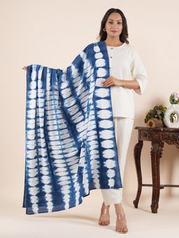 Style Shoes - Checkered Handloom Block Printed Blue Dupatta