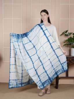 Style Shoes - Checkered Block Printed Blue Dupatta