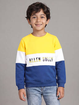 Allen Solly Junior - Boys Multi Regular Fit Sweatshirt