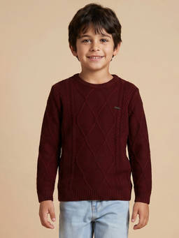 Allen Solly - Boys Maroon Textured Regular Fit Sweater