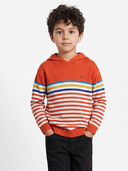 Allen Solly - Boys Orange Stripe Sweater