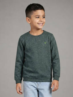Allen Solly Junior - Boys Green Regular Fit Sweatshirt