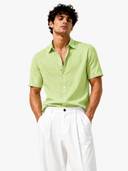 Olive color option, Currently selected