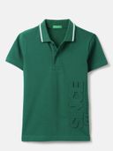 Green color option, Currently selected