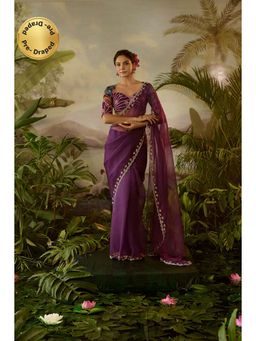 Baise Gaba - Gopi Saree with Stitched Blouse