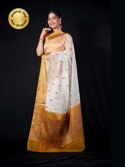 Isadora Life - Multi-Color Woven Pre-Draped Saree with Unstitched Blouse
