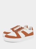Brown color option