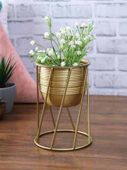 HomeTown - Skylar Iron Round Stand Planter in Gold Colour