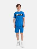 Blue color option, Currently selected