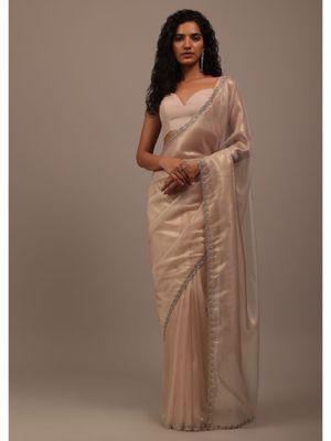 Plum Metallic Saree Skirt with Pocket with Cut Dana Hand Embroidered Blouse Fabric
