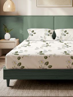 Urban Space - Tea leaves Microfiber 200 TC Bedsheet with Pillow covers