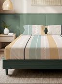 Multi-Color color option