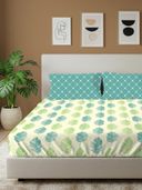 Teal color option