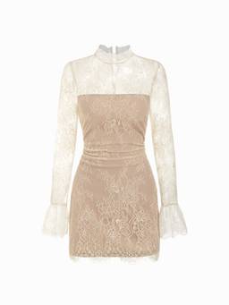 Cider - Lace Women's Stand Collar Long Sleeve Straight Mini Dress Cream