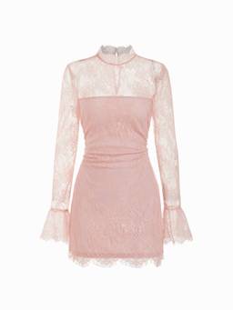 Cider - Lace Women's Stand Collar Full Sleeve Straight Mini Dress Pink