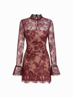 Cider - Lace Women's Stand Collar Full Sleeve Straight Mini Dress Wine