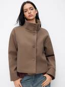 Brown color option, Currently selected
