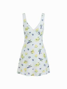Cider - Fruit Gingham Women’s V-Neck Bow A-Line Mini Dress Blue