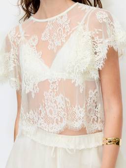 Cider - Sheer Lace Women's Ruffle Sleeve Round Neck Top Cream