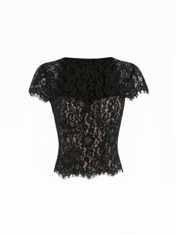 Cider - Cotton Blend Women Lace Scoop Neck Short Sleeve Top Black