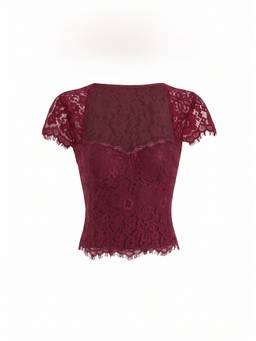 Cider - Cotton-Blend Women's Lace Scoop Neck Short Sleeve Top Wine