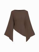 Brown color option, Currently selected