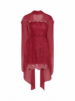 Cider - Lace Cotton Blend Women's Strapless Bodycon Mini Dress Wine