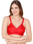 Red color option, Sold out