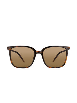 Daniel Klein - UV400 Protection Oversized Brown Lens Sunglasses