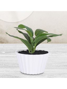 Kuber Industries - Artificial Natural Looking Indoor Fake Plants With Pot-Green