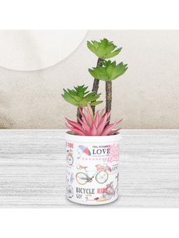 Kuber Industries - Artificial Natural Looking Indoor Fake Plants With Pot-Pink & Green