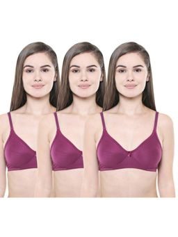 Bodycare - Pack of 3 Seamless Cup Bra In Wine Colour