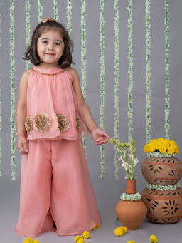 LABEL NEETI - Pink Organza Co-Ord (Set of 2)