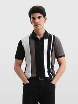 Arrow Sports - Men Multi-Color Vertical Striped Regular Fit Polo T-shirt